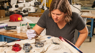 The Smithsonian Is Finally Getting Crowdfunding Right